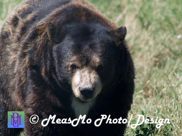 Rapid City_Sep012015_5942