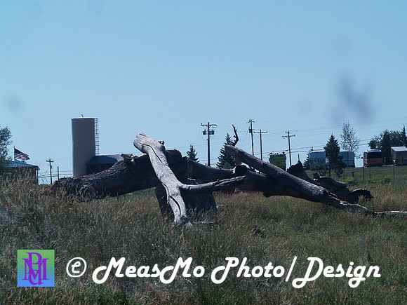 Rapid City_Sep012015_5741