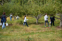 Apple Picking and Picnic_Sep272015_3113