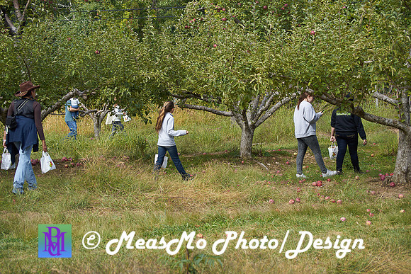 Apple Picking and Picnic_Sep272015_3113