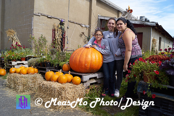 Apple Picking and Picnic_Sep272015_3107