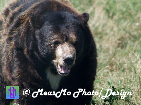 Rapid City_Sep012015_5937