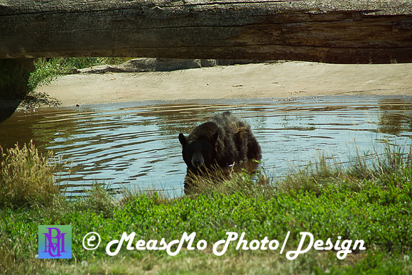 Rapid City_Sep012015_4951