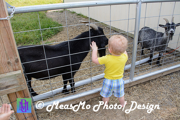 KMB and Family_September 22, 2019_0097