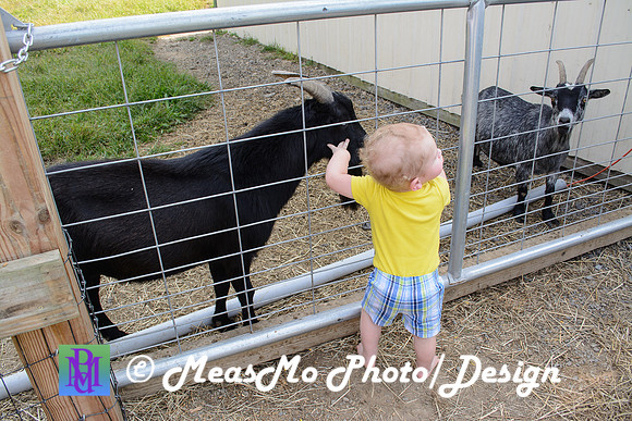 KMB and Family_September 22, 2019_0096