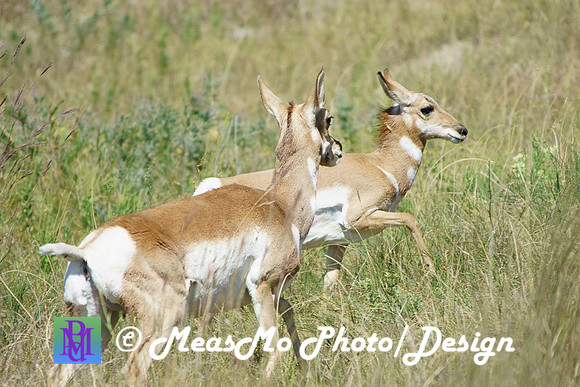 Rapid City_Sep022015_6761