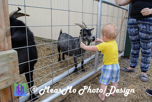 KMB and Family_September 22, 2019_0102