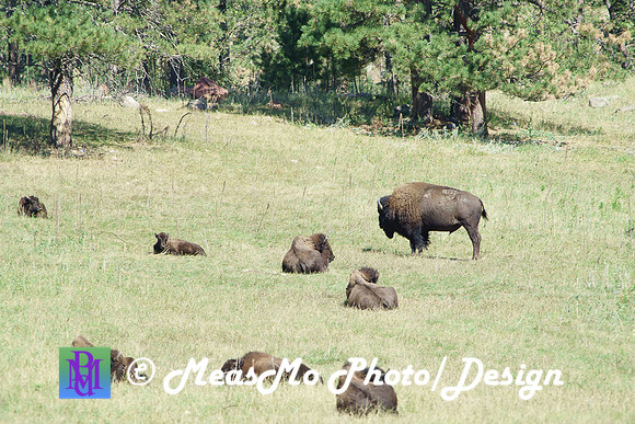 Rapid City_Sep022015_6722