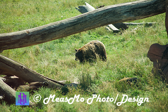 Rapid City_Sep012015_4961