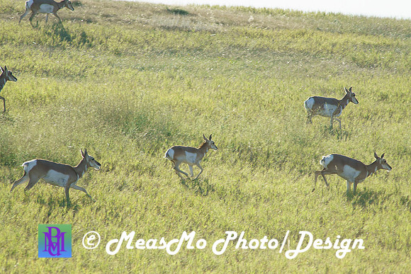 Rapid City_Sep042015_0804