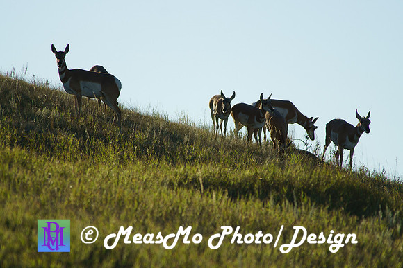 Rapid City_Sep042015_0797