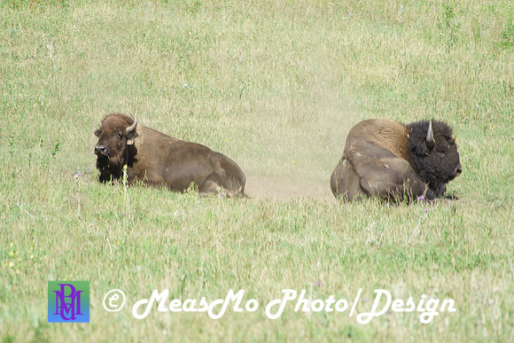 Rapid City_Sep022015_6741