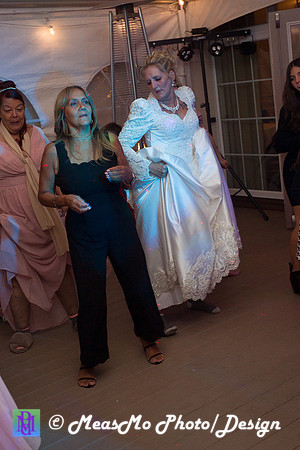Suelyn and Jose Colon Wedding Reception-The Bride