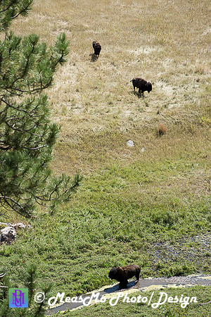 Rapid City_Sep022015_8127