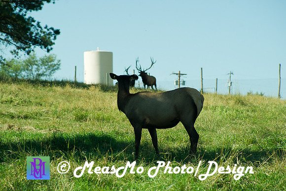 Rapid City_Sep012015_4707