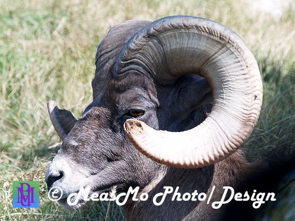Rapid City_Sep012015_5727