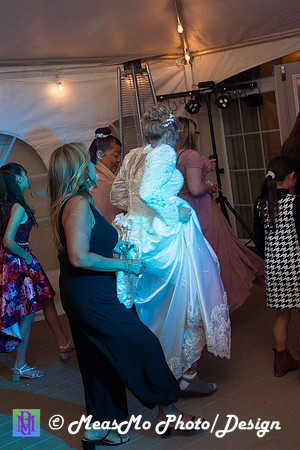 Suelyn and Jose Colon Wedding Reception-The Bride