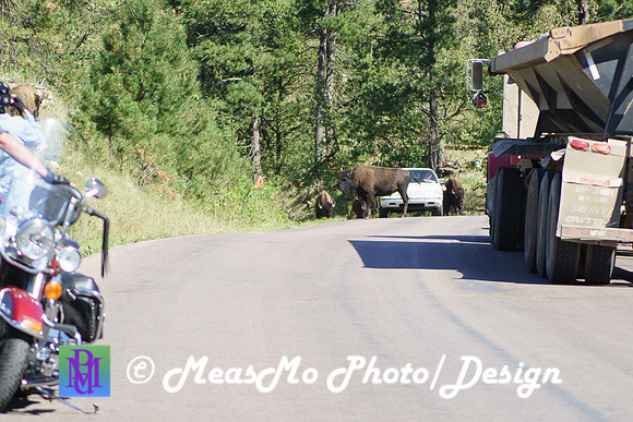 Rapid City_Sep022015_6716