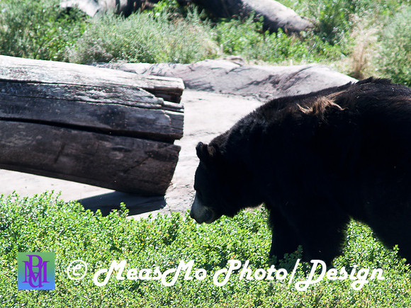 Rapid City_Sep012015_5813