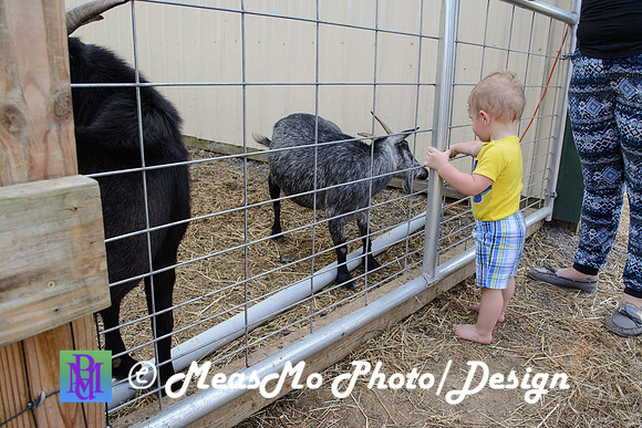 KMB and Family_September 22, 2019_0103