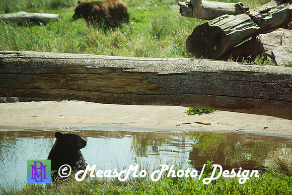 Rapid City_Sep012015_4930