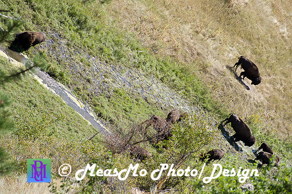 Rapid City_Sep022015_8120