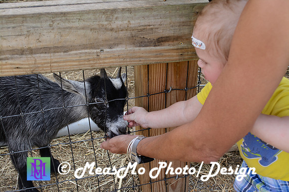 KMB and Family_September 22, 2019_0088