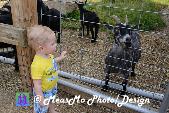 KMB and Family_September 22, 2019_0090
