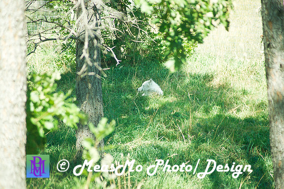 Rapid City_Sep012015_4768