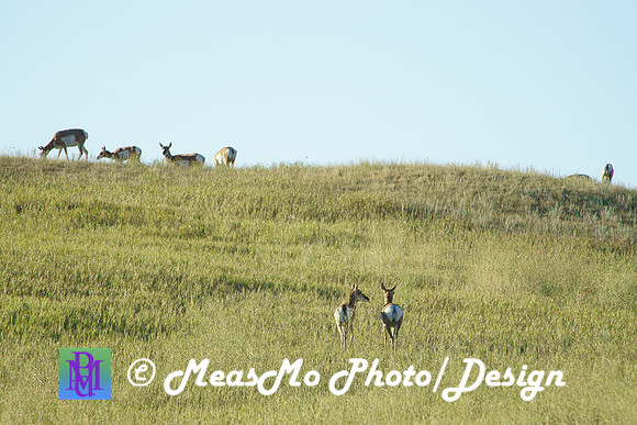 Rapid City_Sep042015_0768