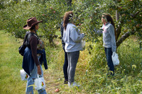 Apple Picking and Picnic_Sep272015_3115