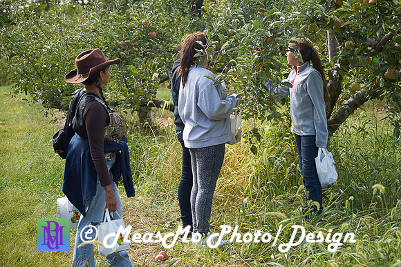 Apple Picking and Picnic_Sep272015_3115