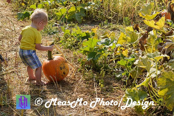 KMB and Family_September 22, 2019_0305
