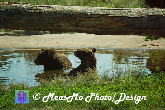 Rapid City_Sep012015_5080