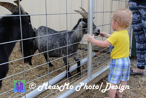 KMB and Family_September 22, 2019_0105