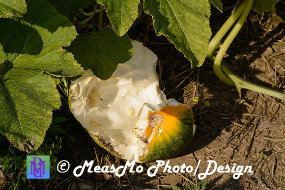 KMB and Family_September 22, 2019_0282
