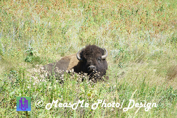 Rapid City_Sep022015_6768