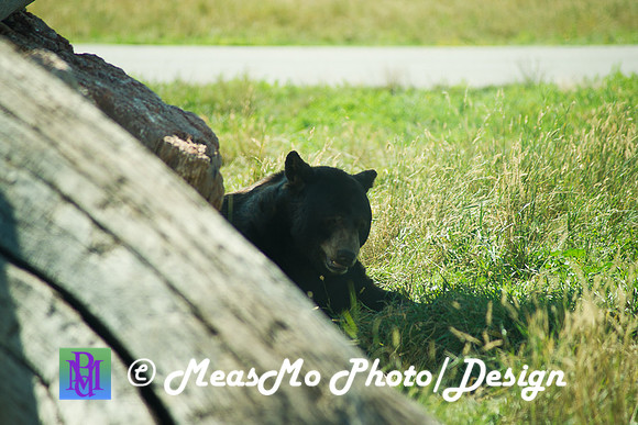 Rapid City_Sep012015_5088