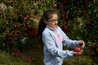 Apple Picking and Picnic_Sep272015_3128