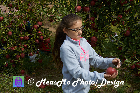 Apple Picking and Picnic_Sep272015_3128