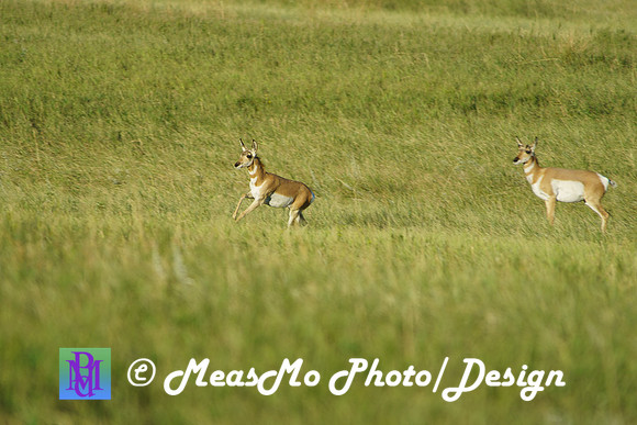 Rapid City_Sep042015_0676